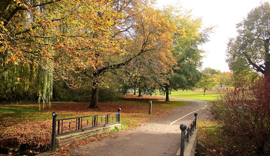 Solihull B91 Escorts